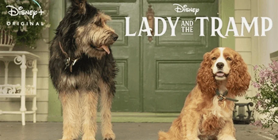Disney Lady and the Tramp 2 streaming November 12, 2019