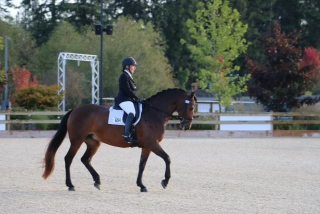 Jennifer McKenzie - Reserve Champion FEI Para Equestrian
