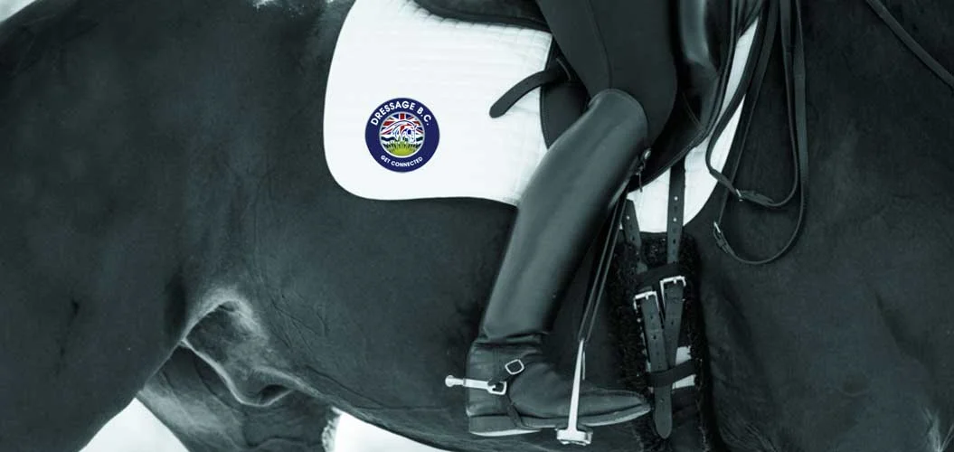 dressagebc-cara-grimshaw-photo.jpg