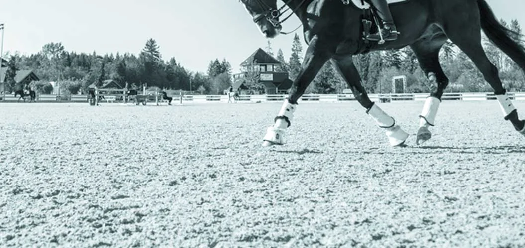 dressagebc-caragrimshaw-photo-ride.jpg