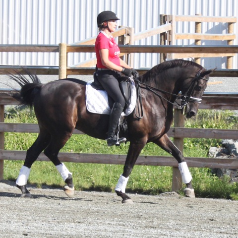 Vanessa Whittell - Carnarvon Farm (Jane Macdonald) Adult Amateur Grant $500
