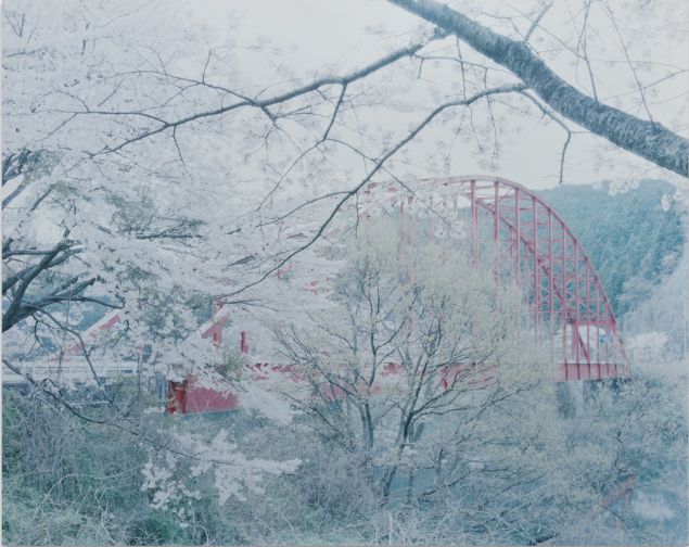 Ori Gersht in Observer