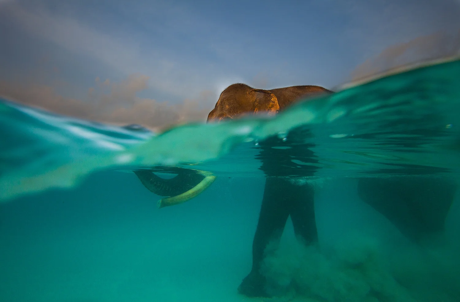 Annette Bonnier - Art Ltd