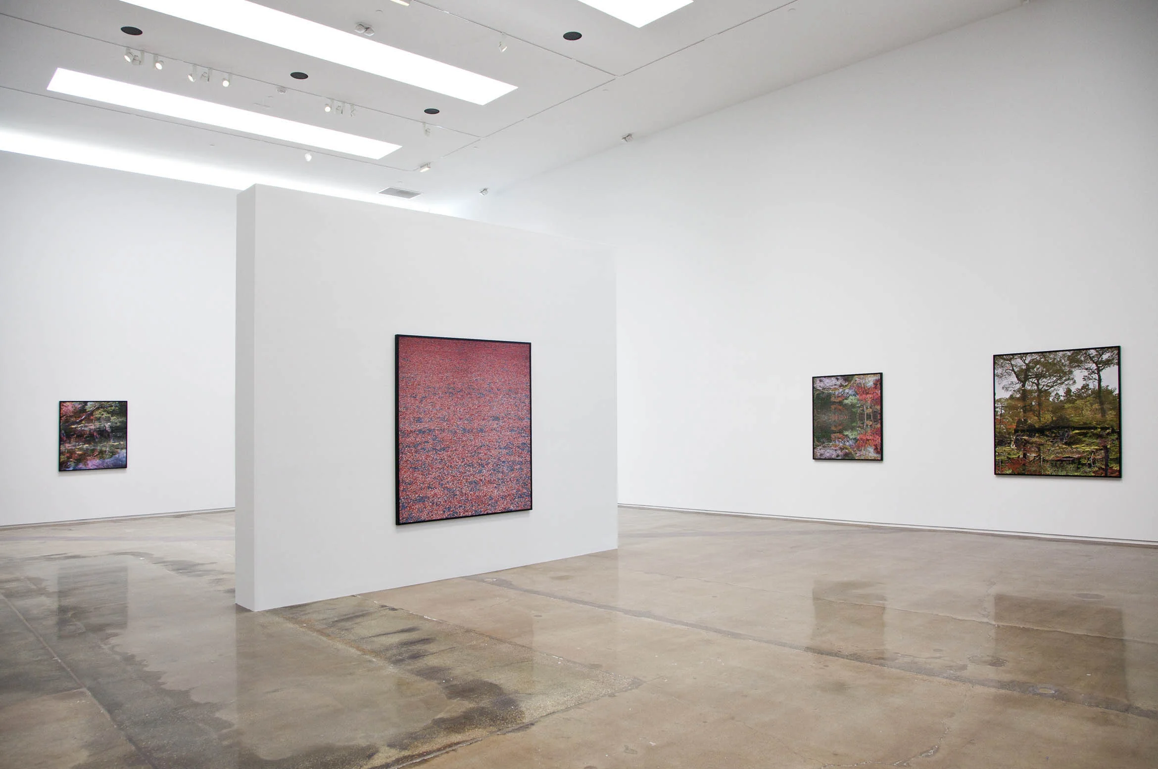 Ori Gersht, "Floating World," July 9 - September 10, 2016