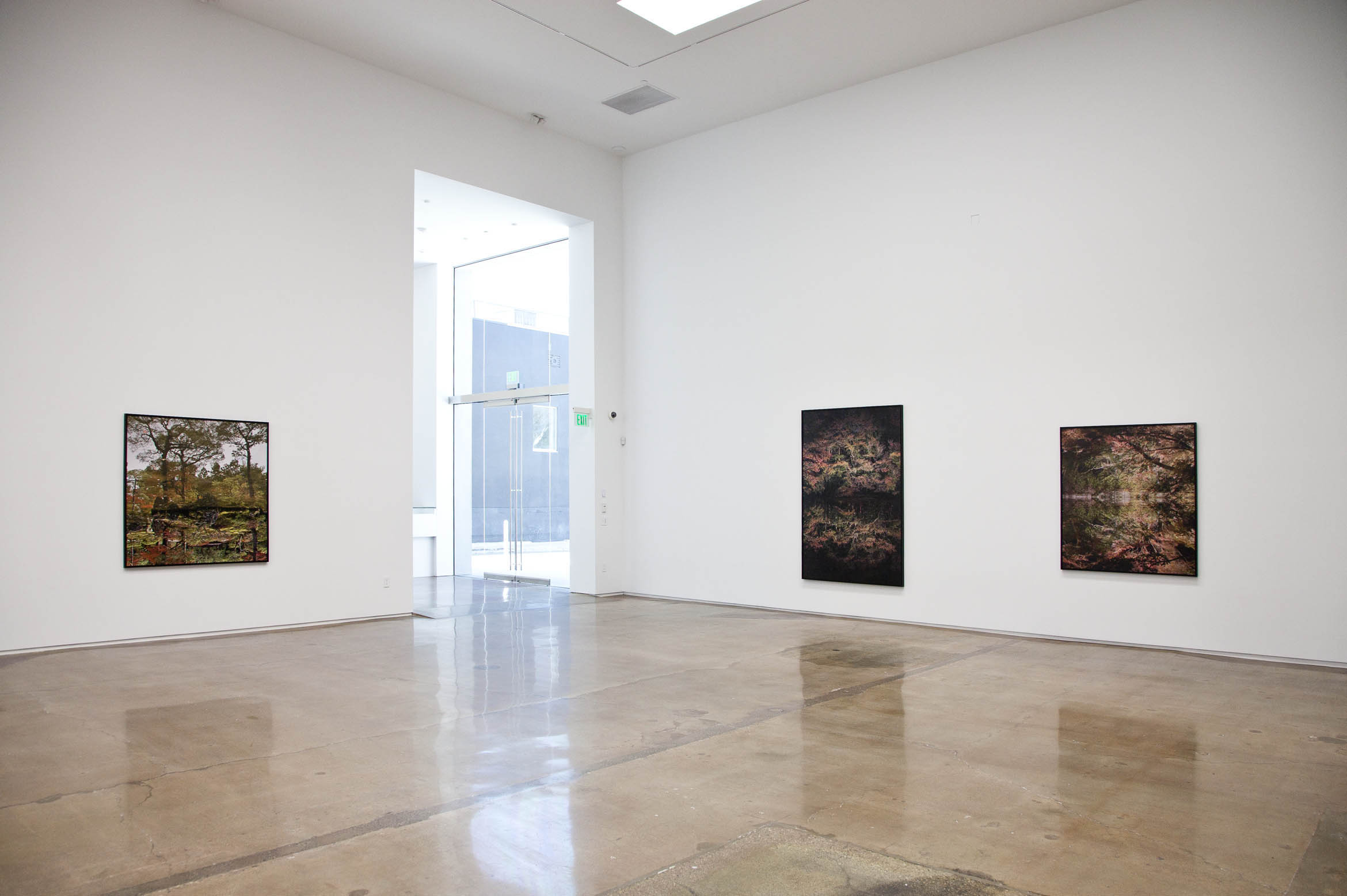 Ori Gersht, "Floating World," July 9 - September 10, 2016
