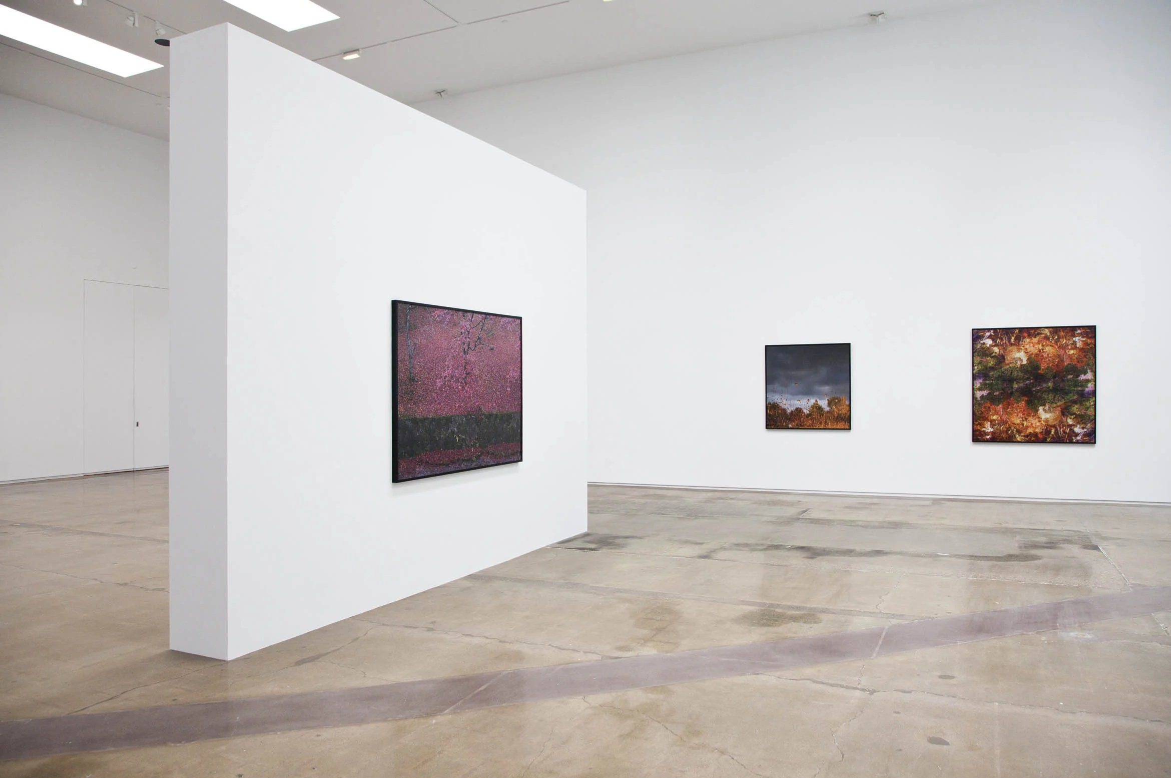 Ori Gersht, "Floating World," July 9 - September 10, 2016