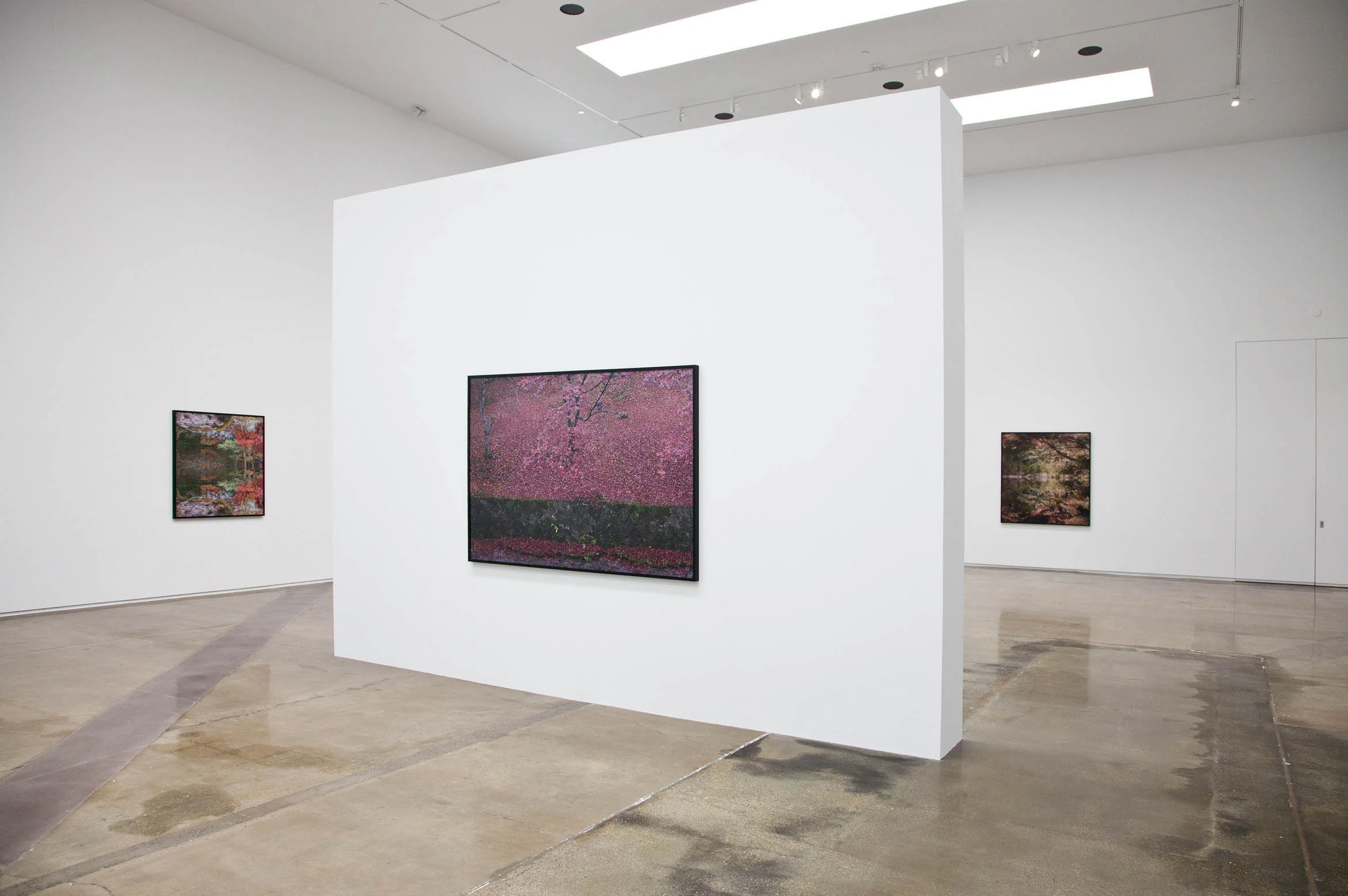 Ori Gersht, "Floating World," July 9 - September 10, 2016