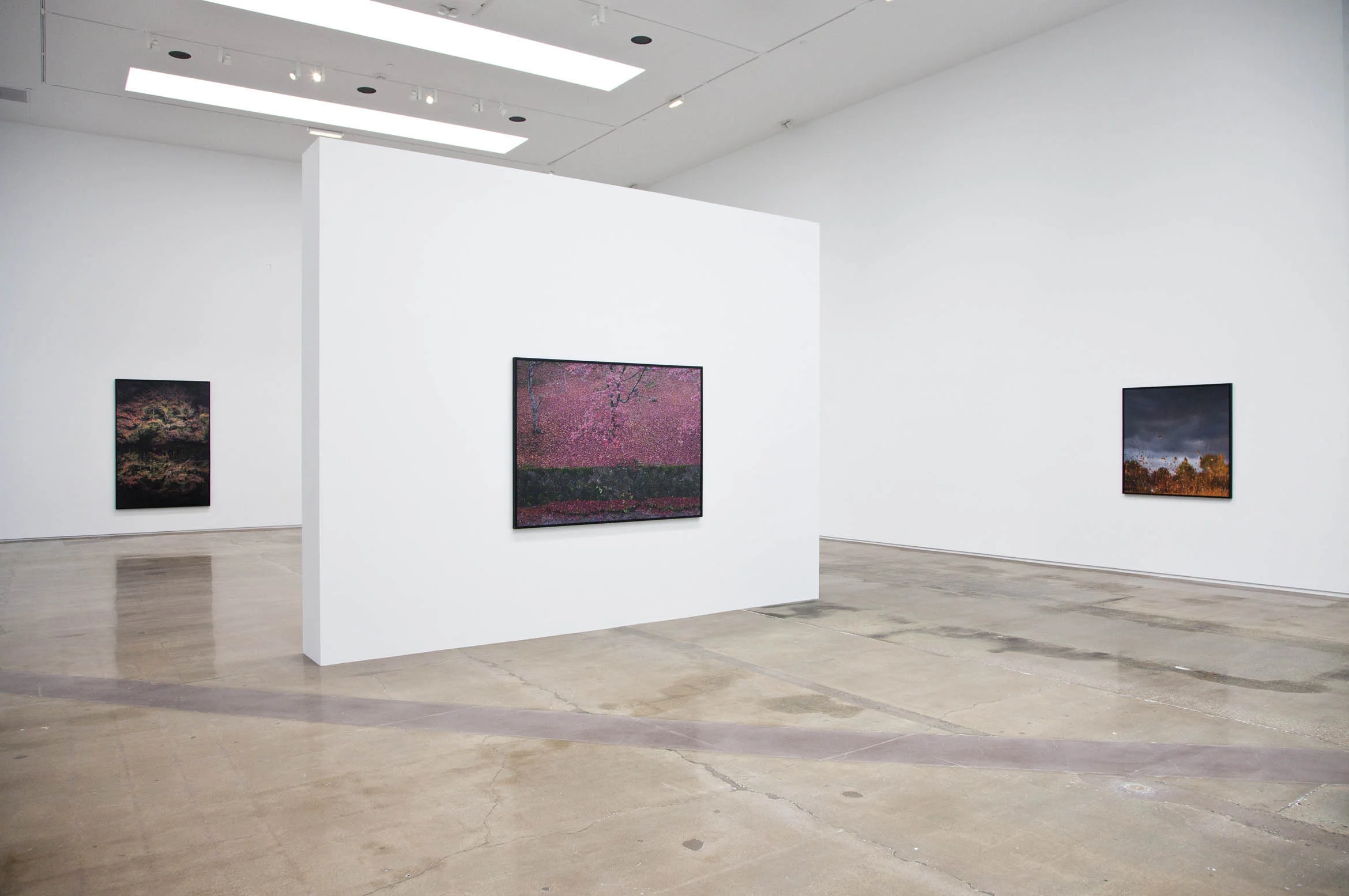 Ori Gersht, "Floating World," July 9 - September 10, 2016