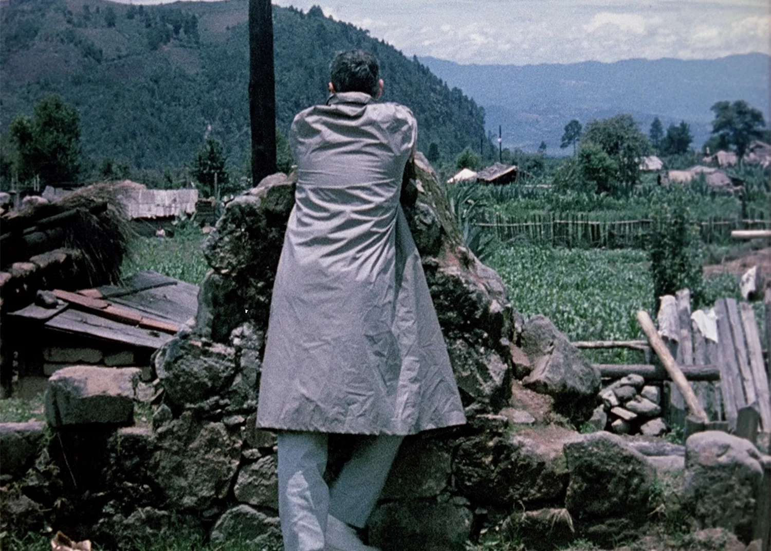 LOOKING FOR MUSHROOMS (Short version) 1959-67, 16mm to 35mm blow-up, color/sound, 3min Digitally Restored, 2016