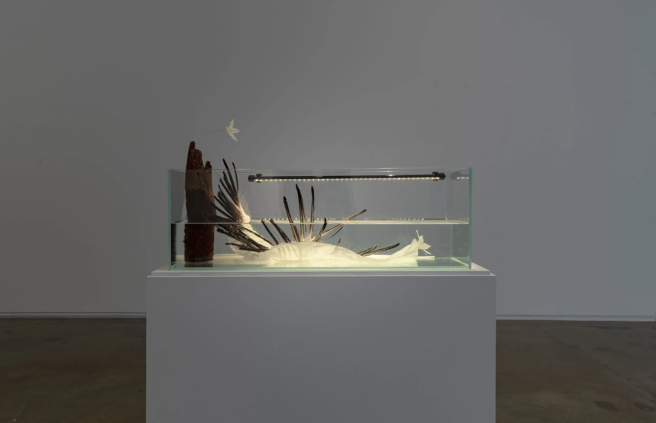 wang_river_install10.jpg