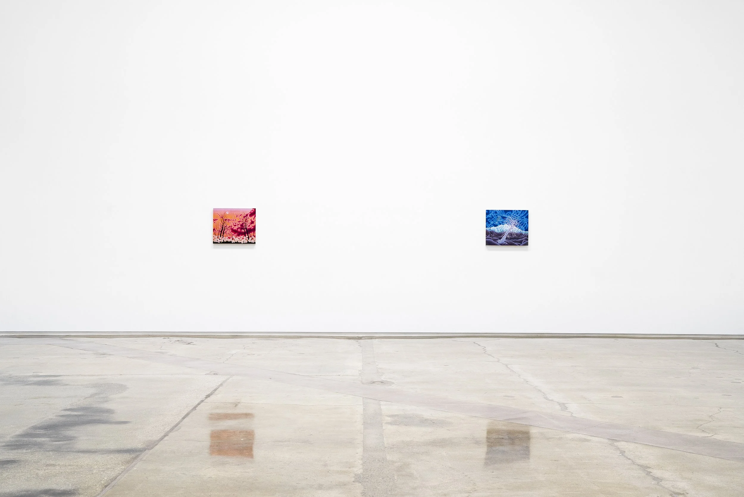 ellis_recentpaintings_install2.jpg