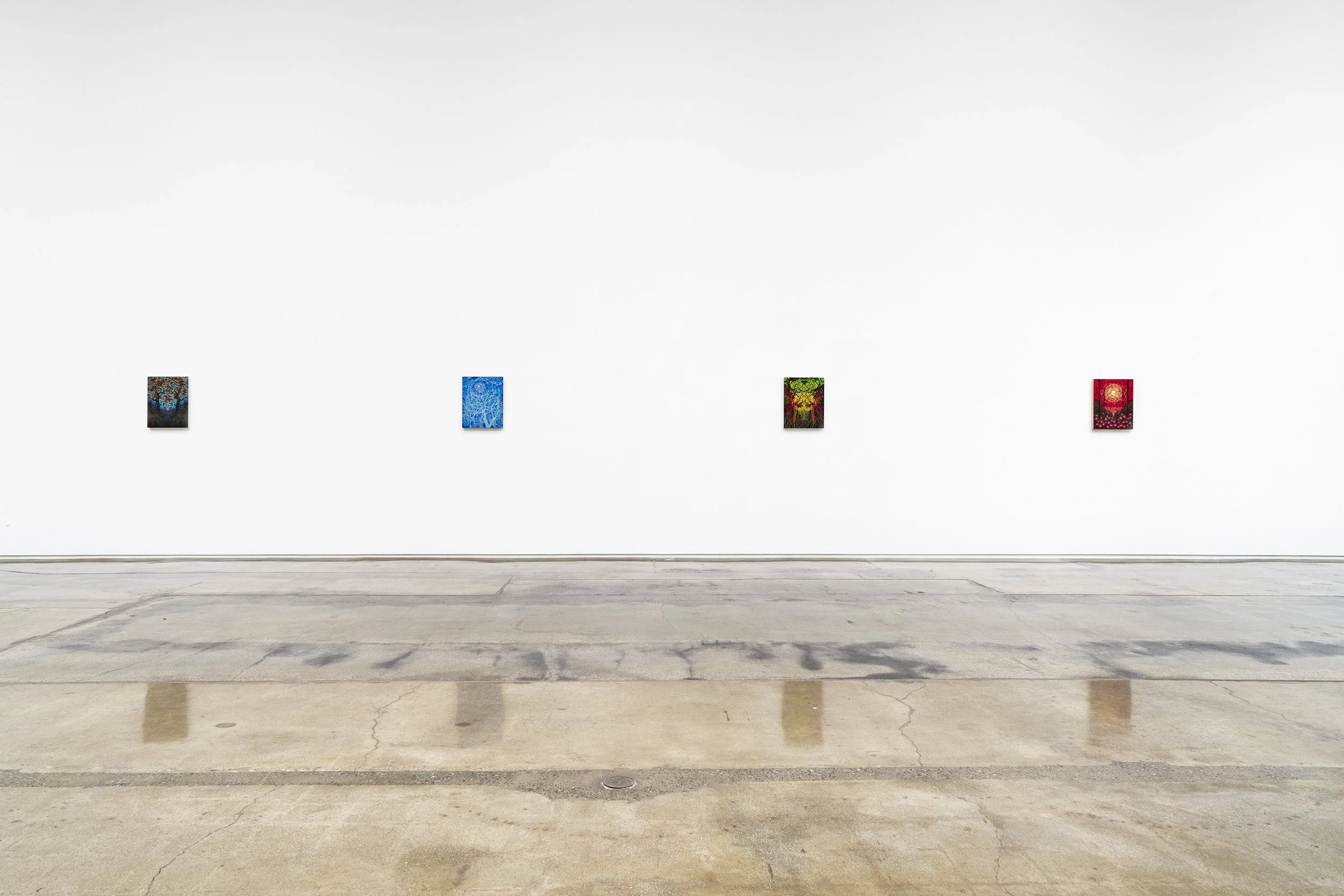 ellis_recentpaintings_install3.jpg
