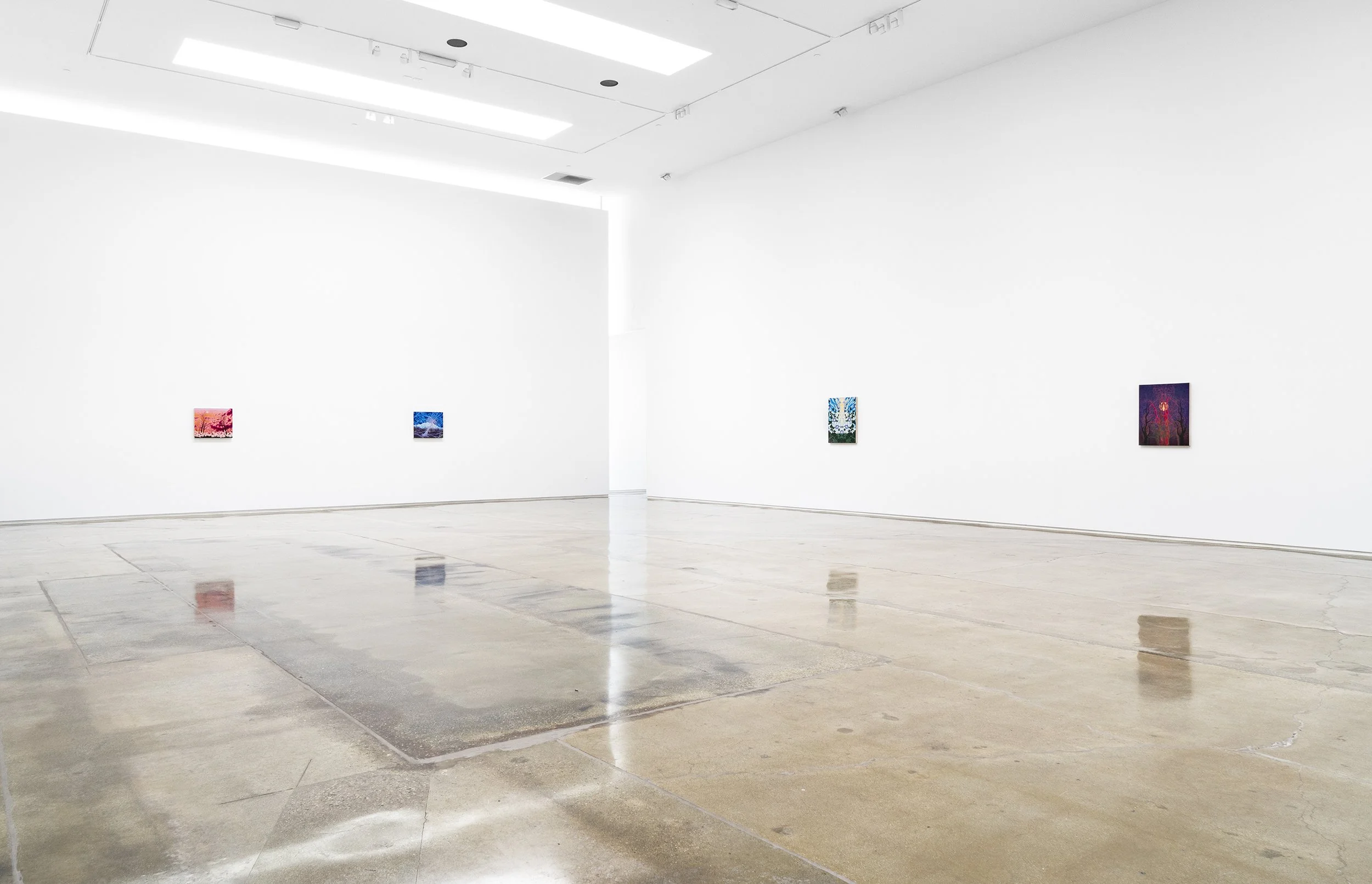 ellis_recentpaintings_install4.jpg