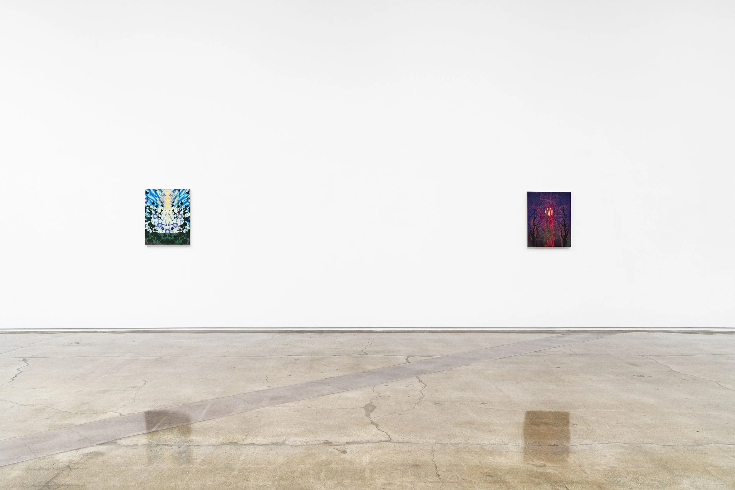 ellis_recentpaintings_install5.jpg