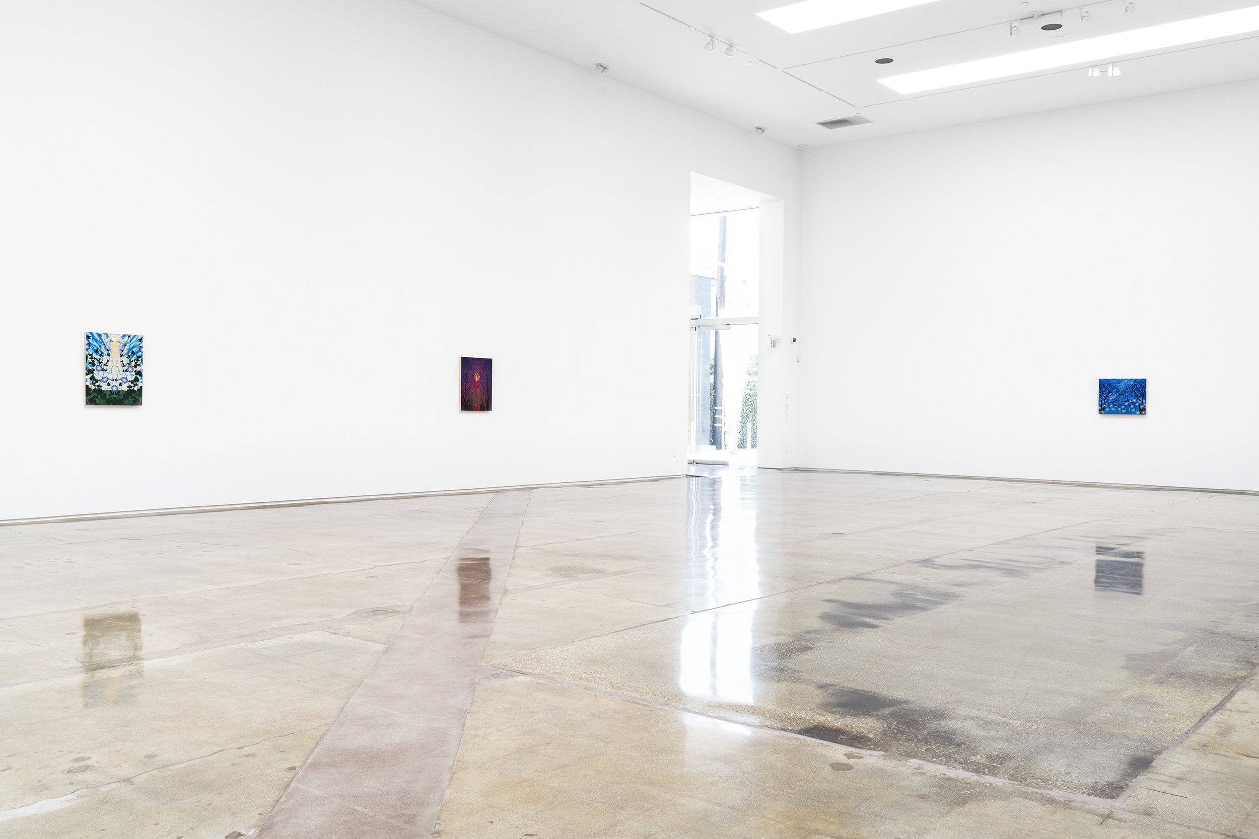 ellis_recentpaintings_install6.jpg