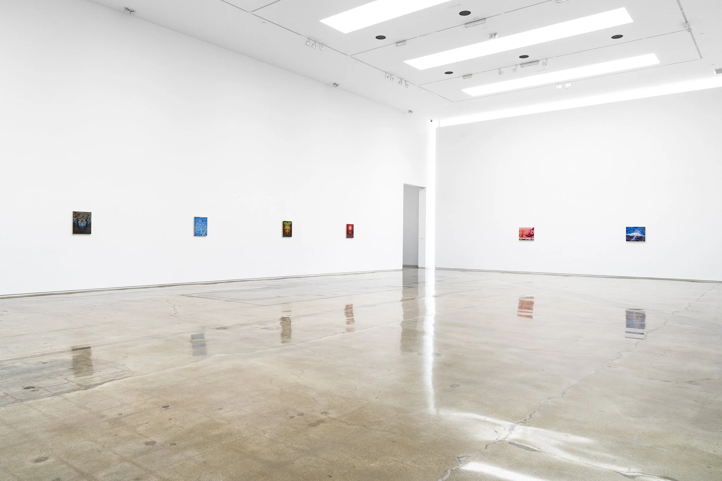 Sharon Ellis, Recent Paintings