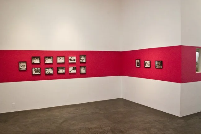 warhol.2008.install5.jpg