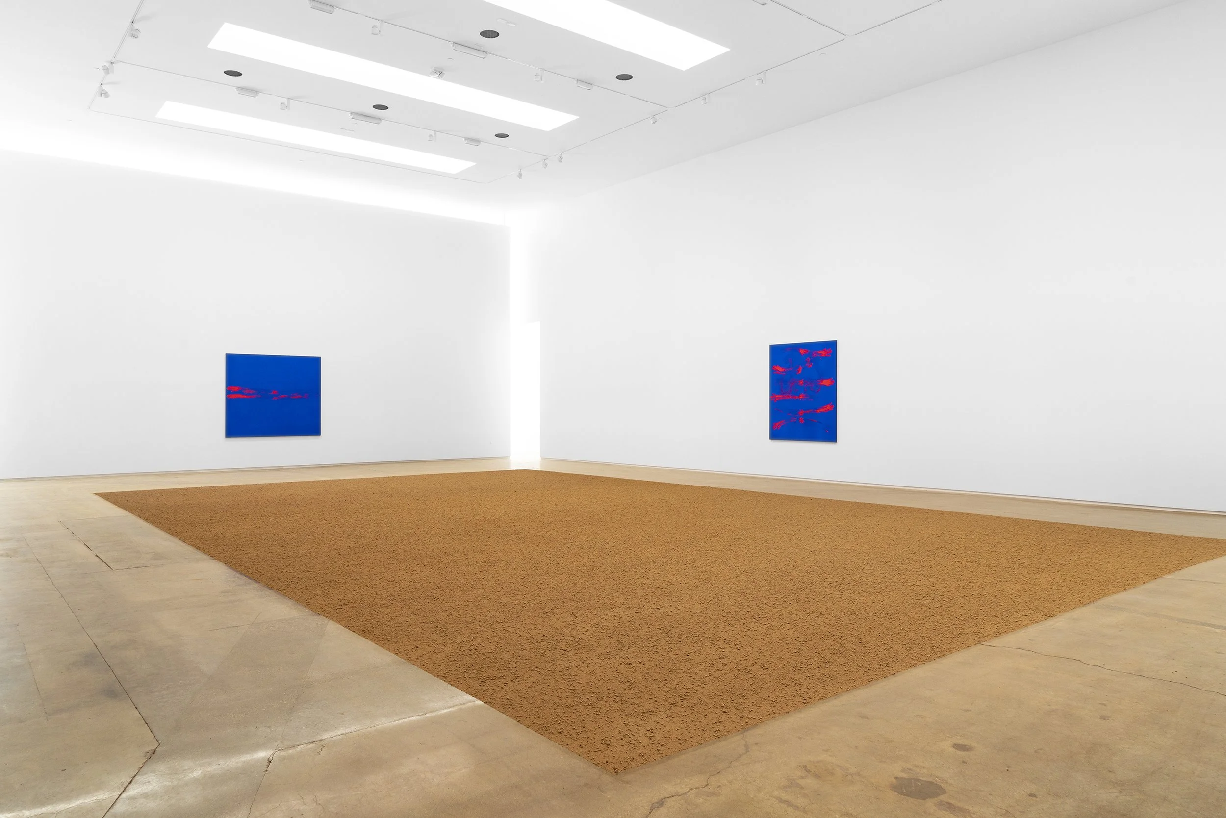 albuquerque_earthskin_install3.jpg