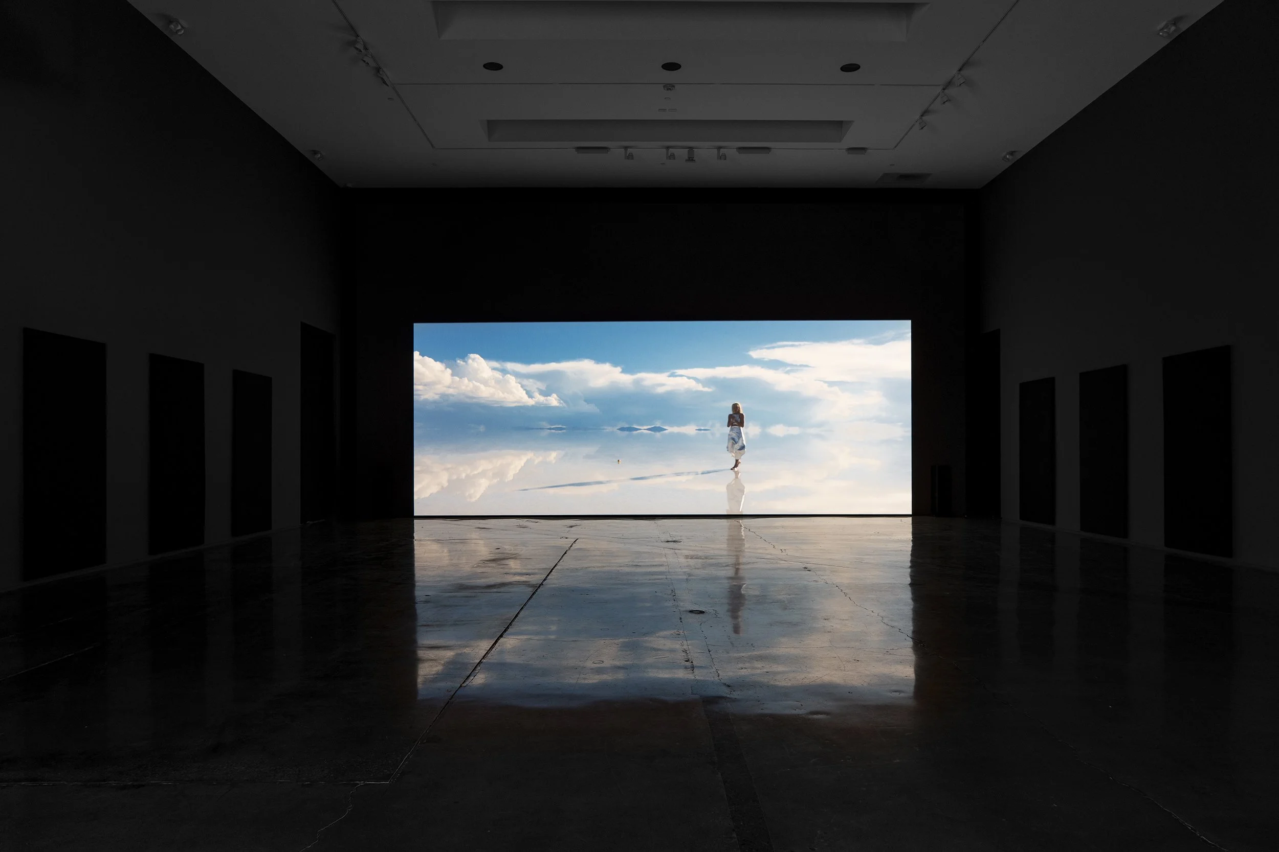 albuquerque_liquidlight_install6.jpg