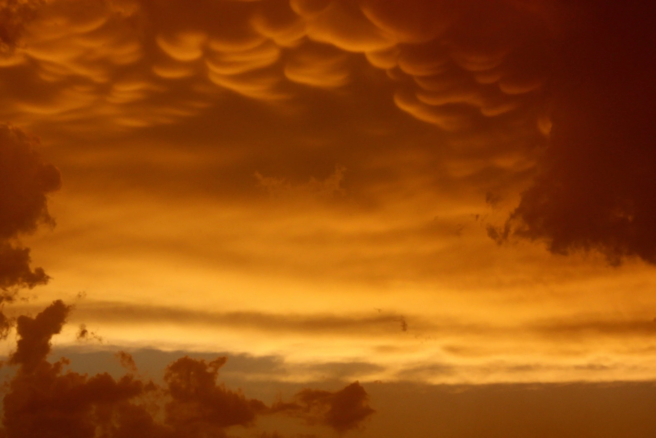 Copy of IMG_7625.JPG