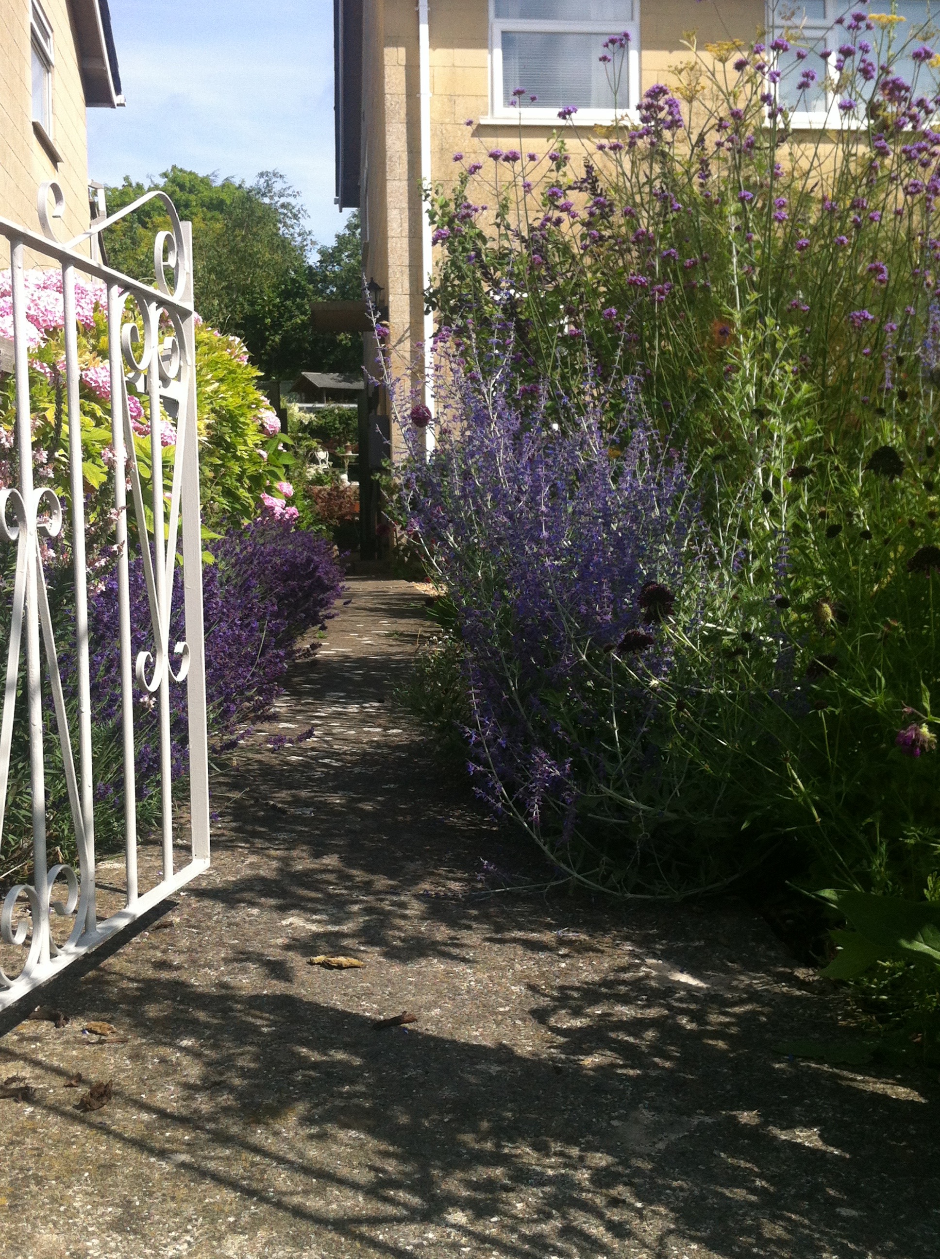 Arch gateway into the garden