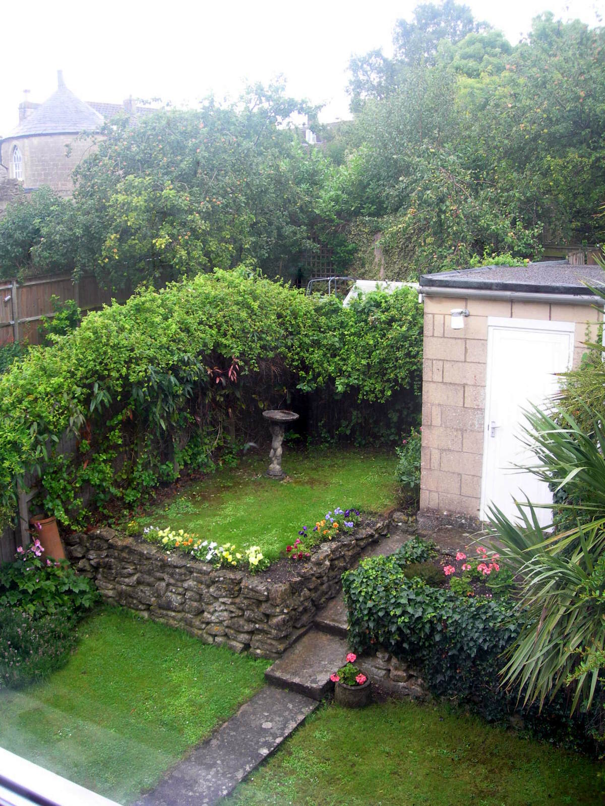 Before: our overgrown back garden