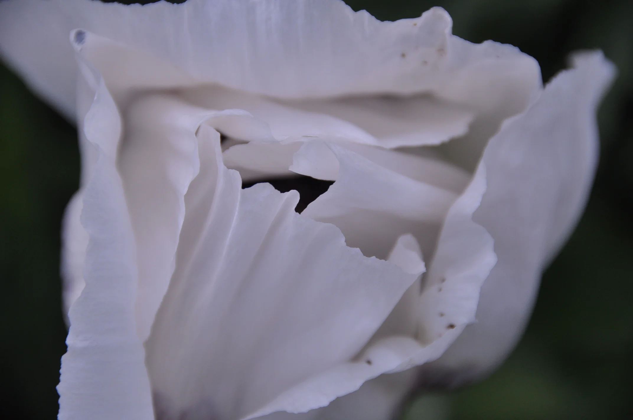 Marching through March