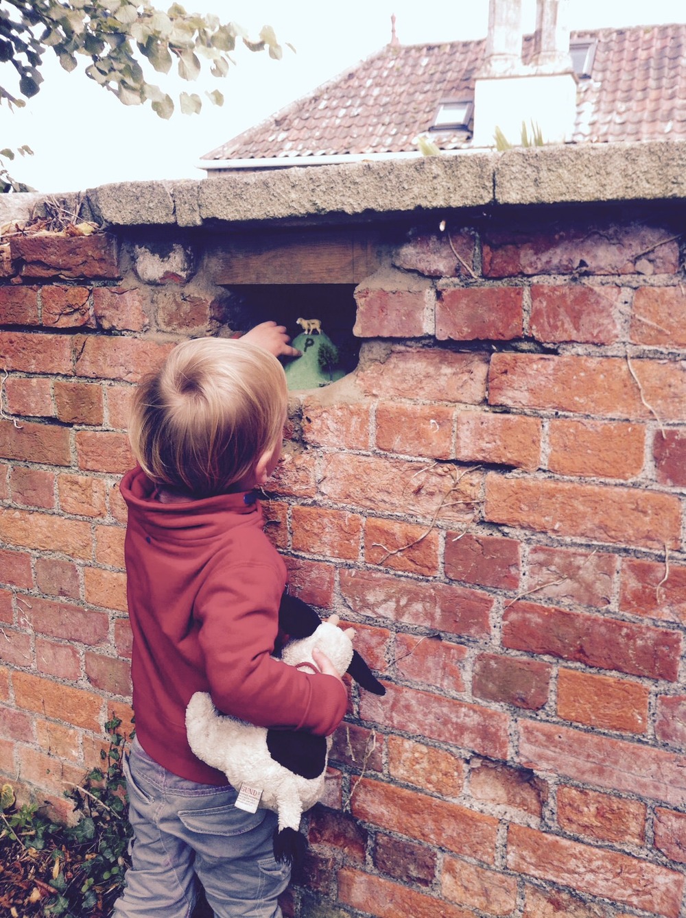 My son looking for Woolley Sheep!