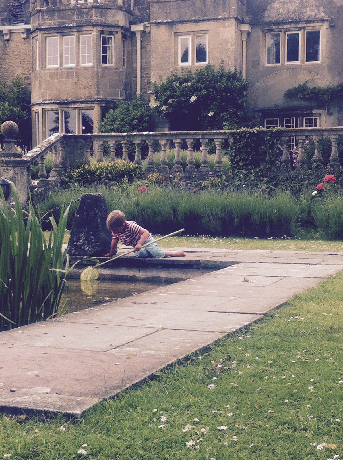 Pond dipping