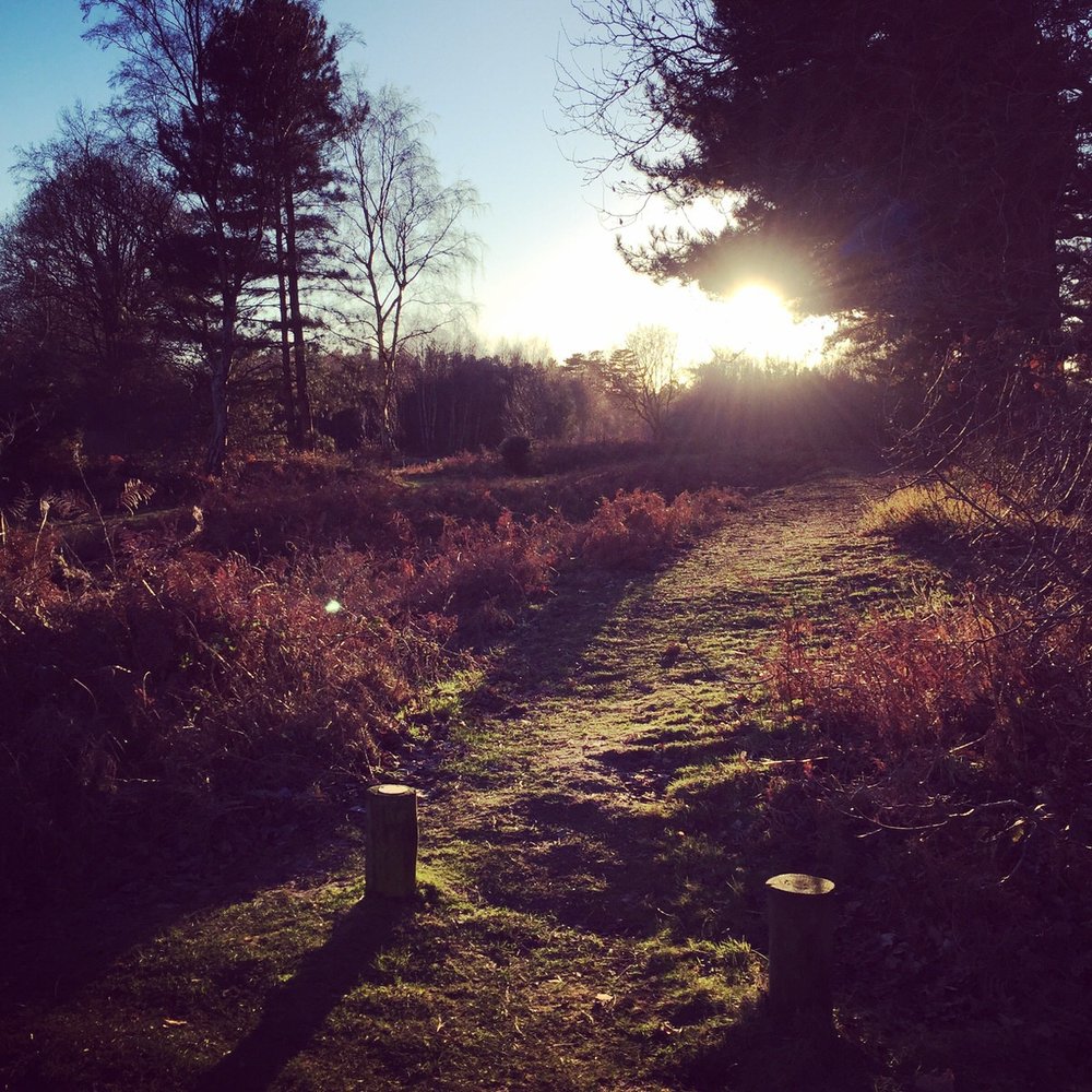 Acres of woodland walks