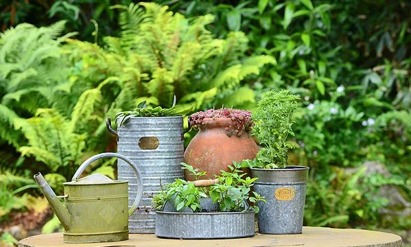 Vintage-Zinc-Pots-and-Planter-Gifts-Foras Stone.jpg