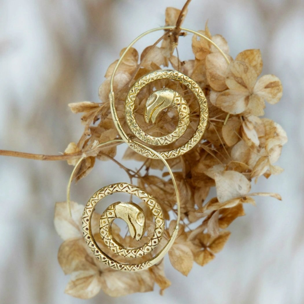 EarringsBrassSnakeCoil.jpeg