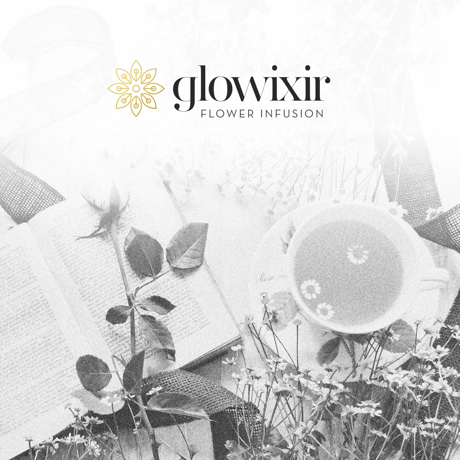 TheWildlyDesign-logo-glowixir2.jpg