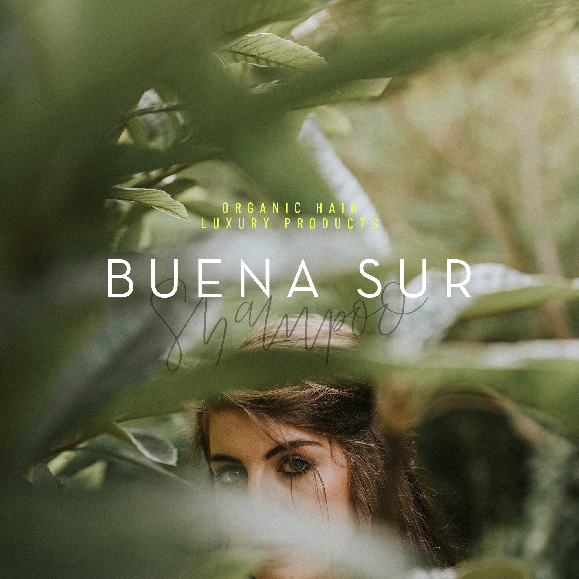 TheWildlyDesign-logo-BuenaSur2.jpg