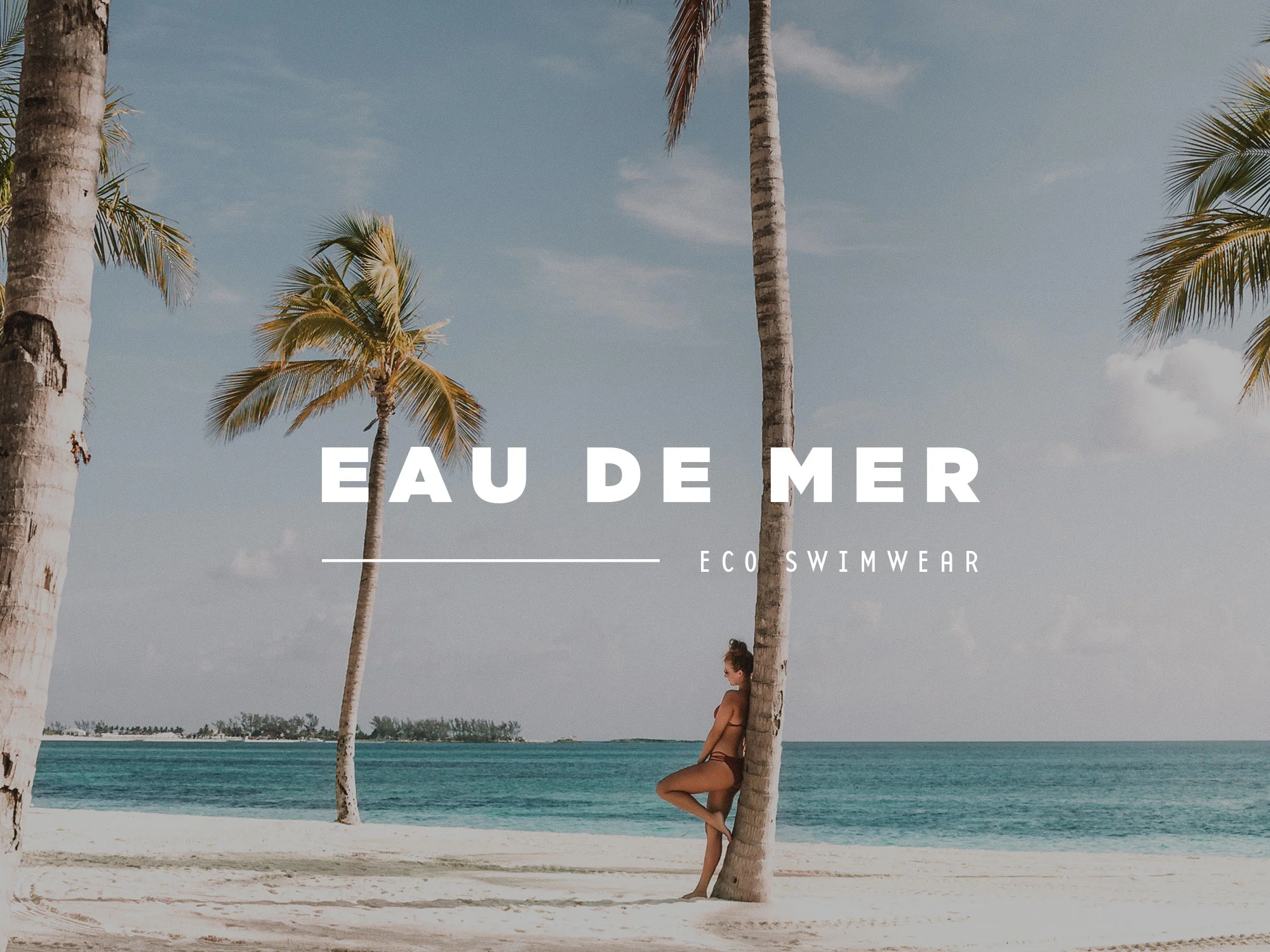 TheWildlyDesign-logo-eau-de-mer.jpg