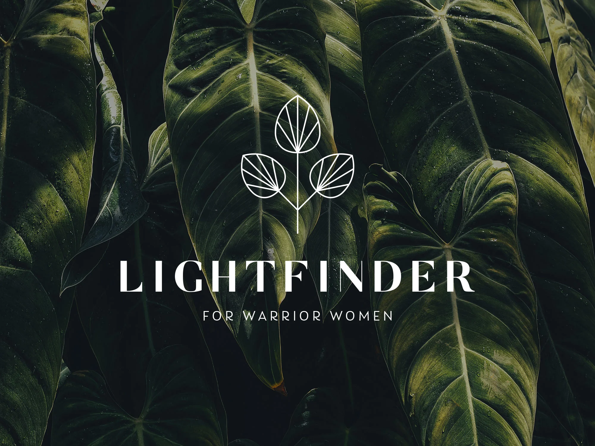 TheWildlyDesign-logo-lightfinder.jpg