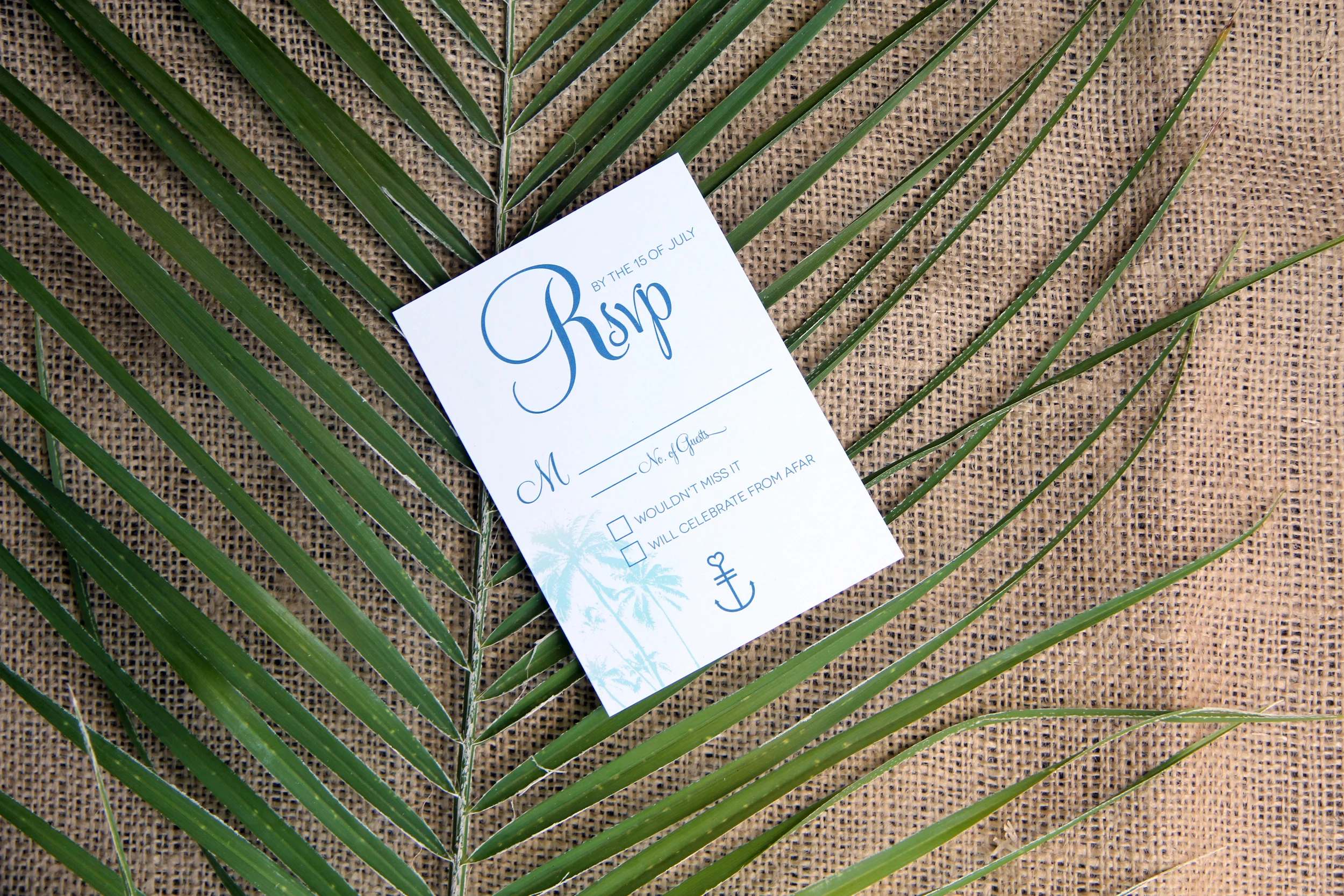 Palms7.jpg