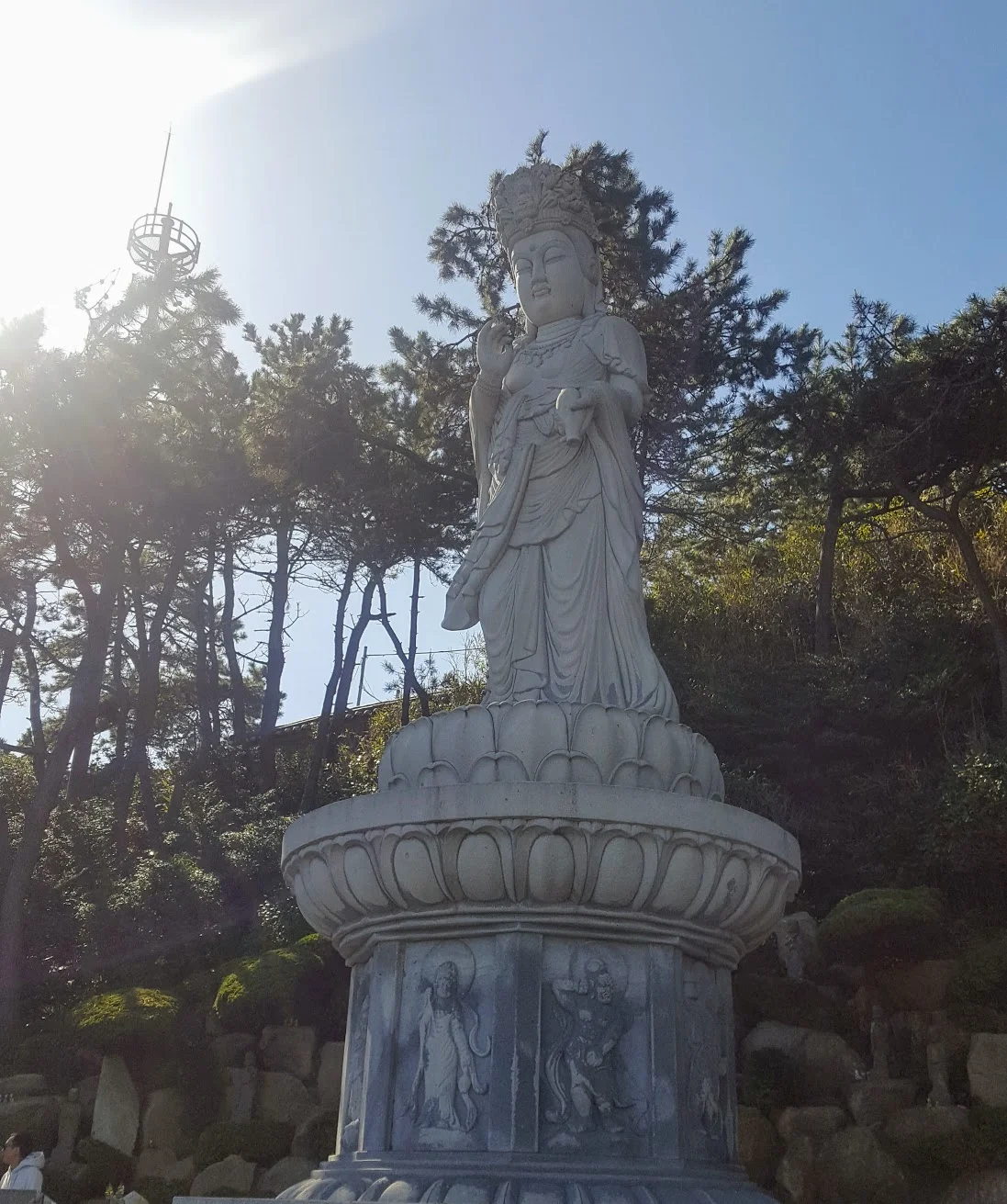 20181020_101108.jpg