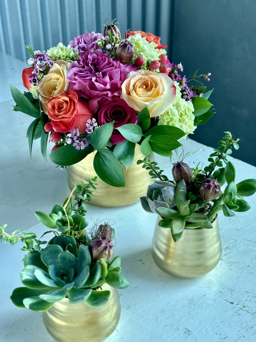 Now-Later-Succulents-Flowers.jpeg