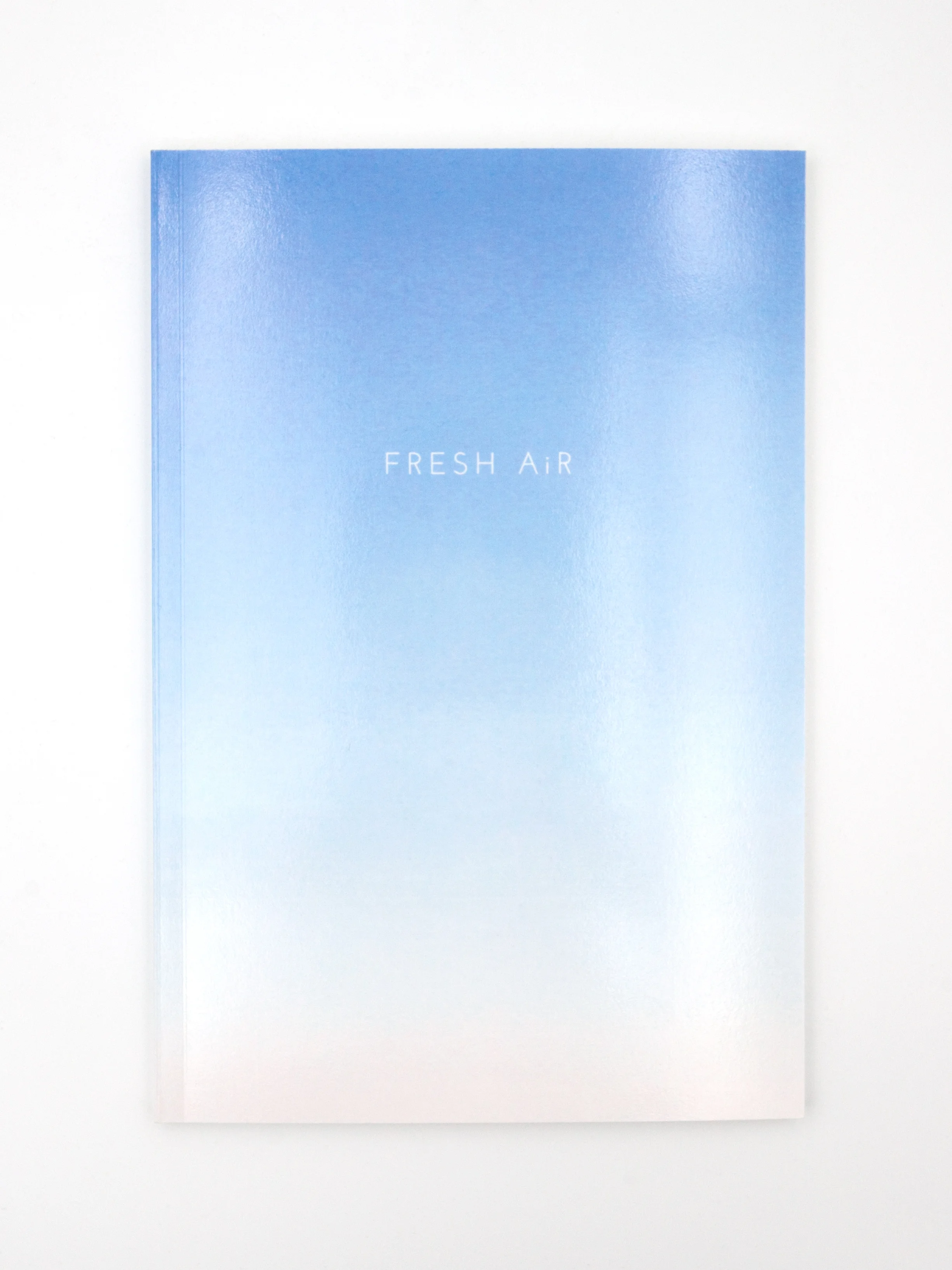 Fresh Air , 2014 Newspace Center for Photography Portland, Oregon *recently accepted into the Indie Photobook Library and the Phoenix Art Museum’s 2014 Juried Exhibition of Self Published Photobooks