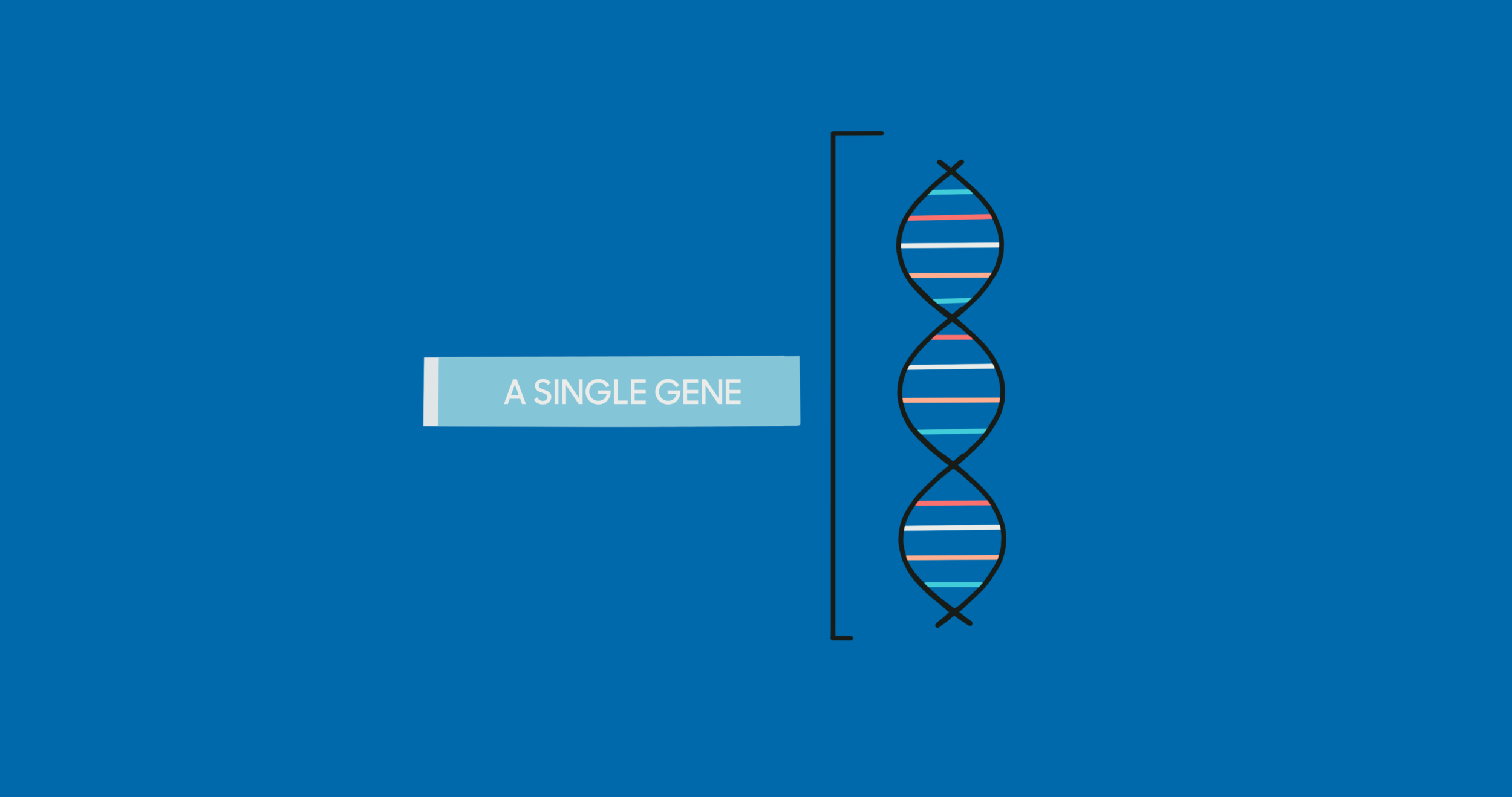 Crispr_2B_v2.png
