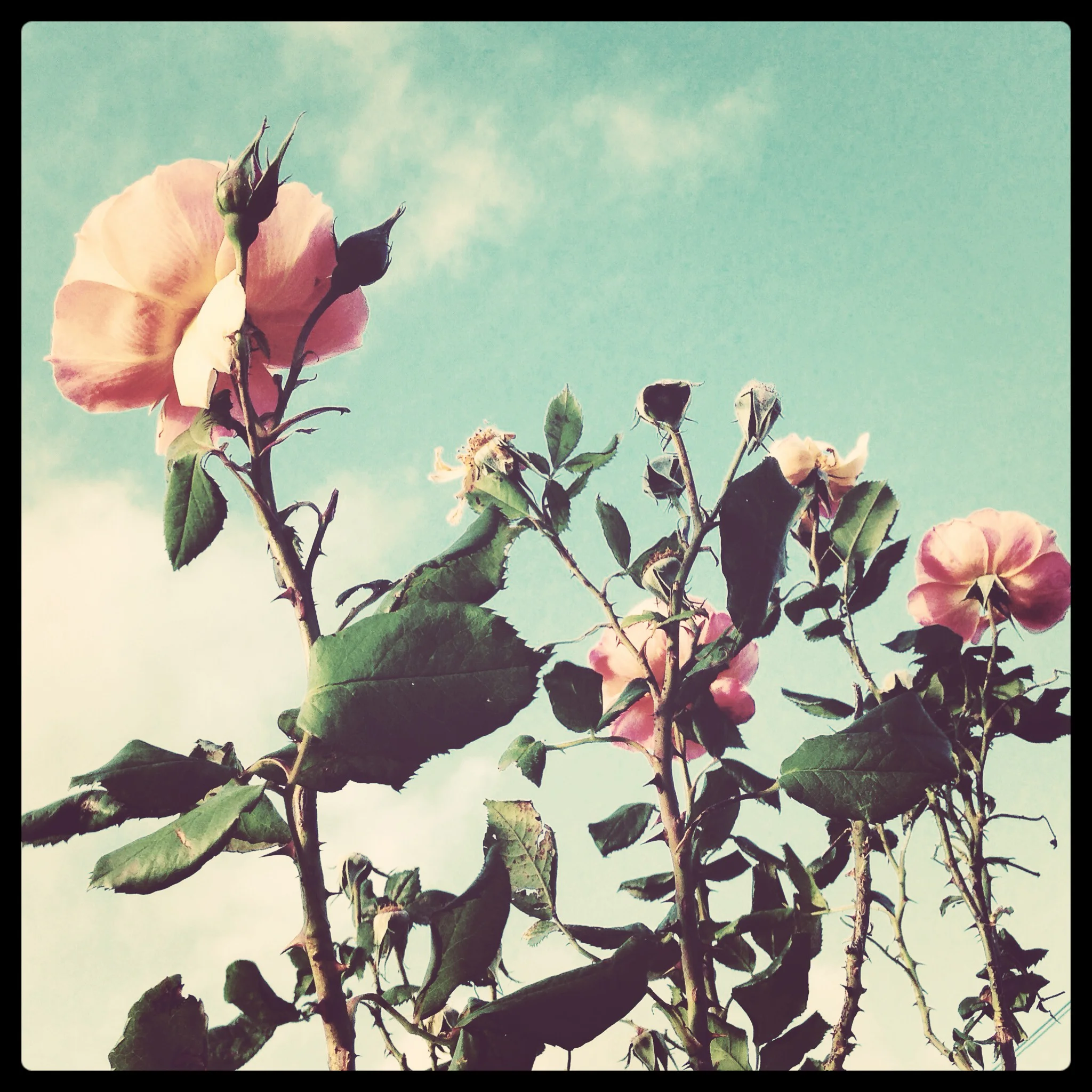 1405030.jpg