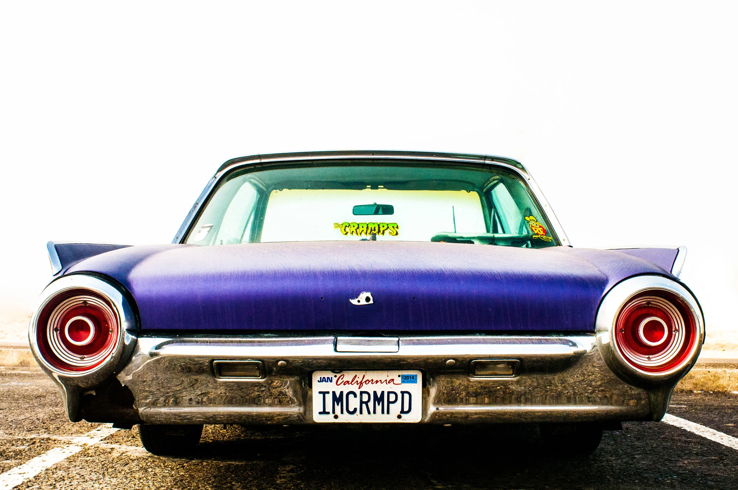 robinmwhitephoto-1-2.jpg