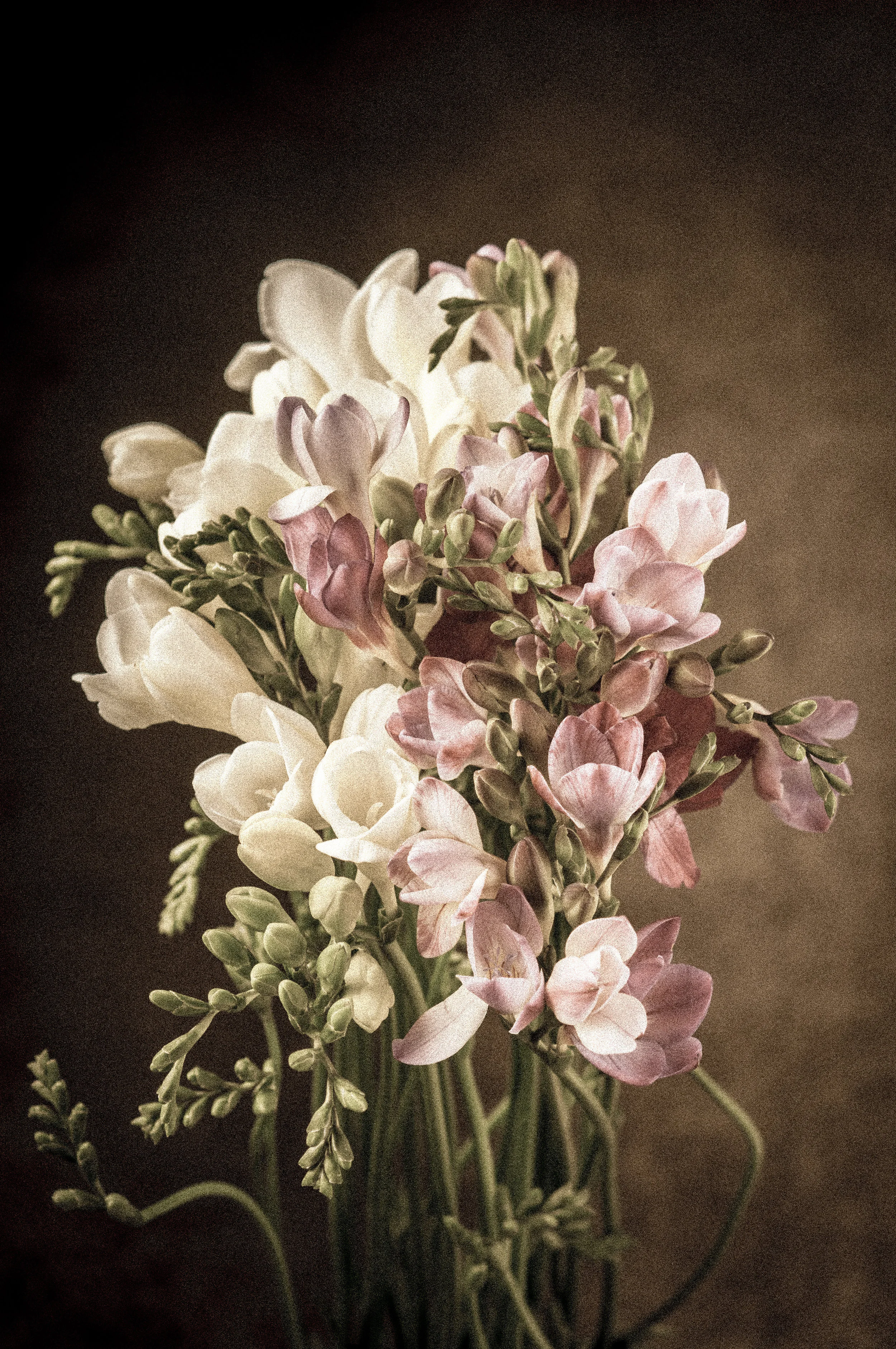 robinmwhitephoto-25.jpg