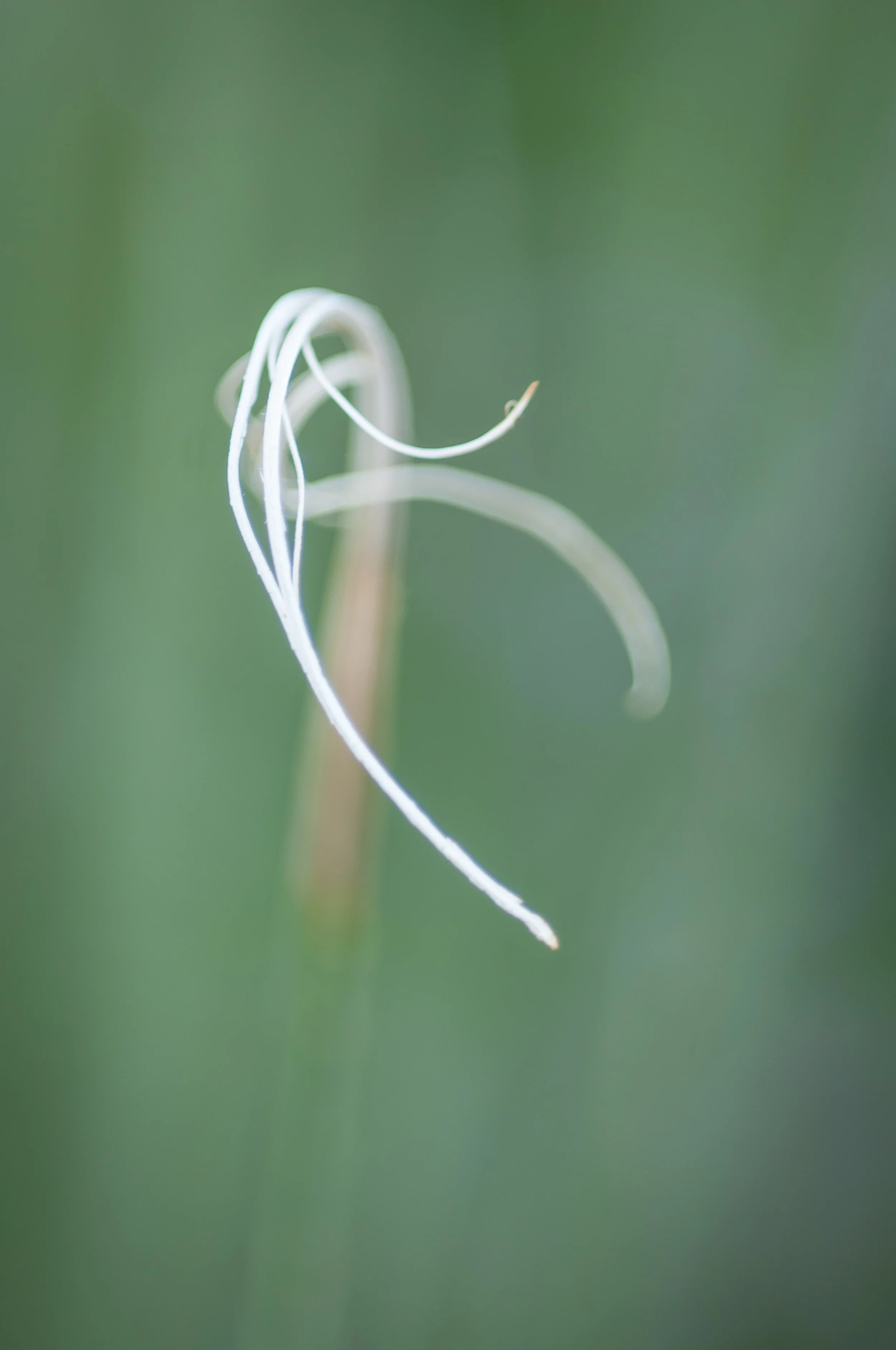 robinmwhitephoto-1-4.jpg