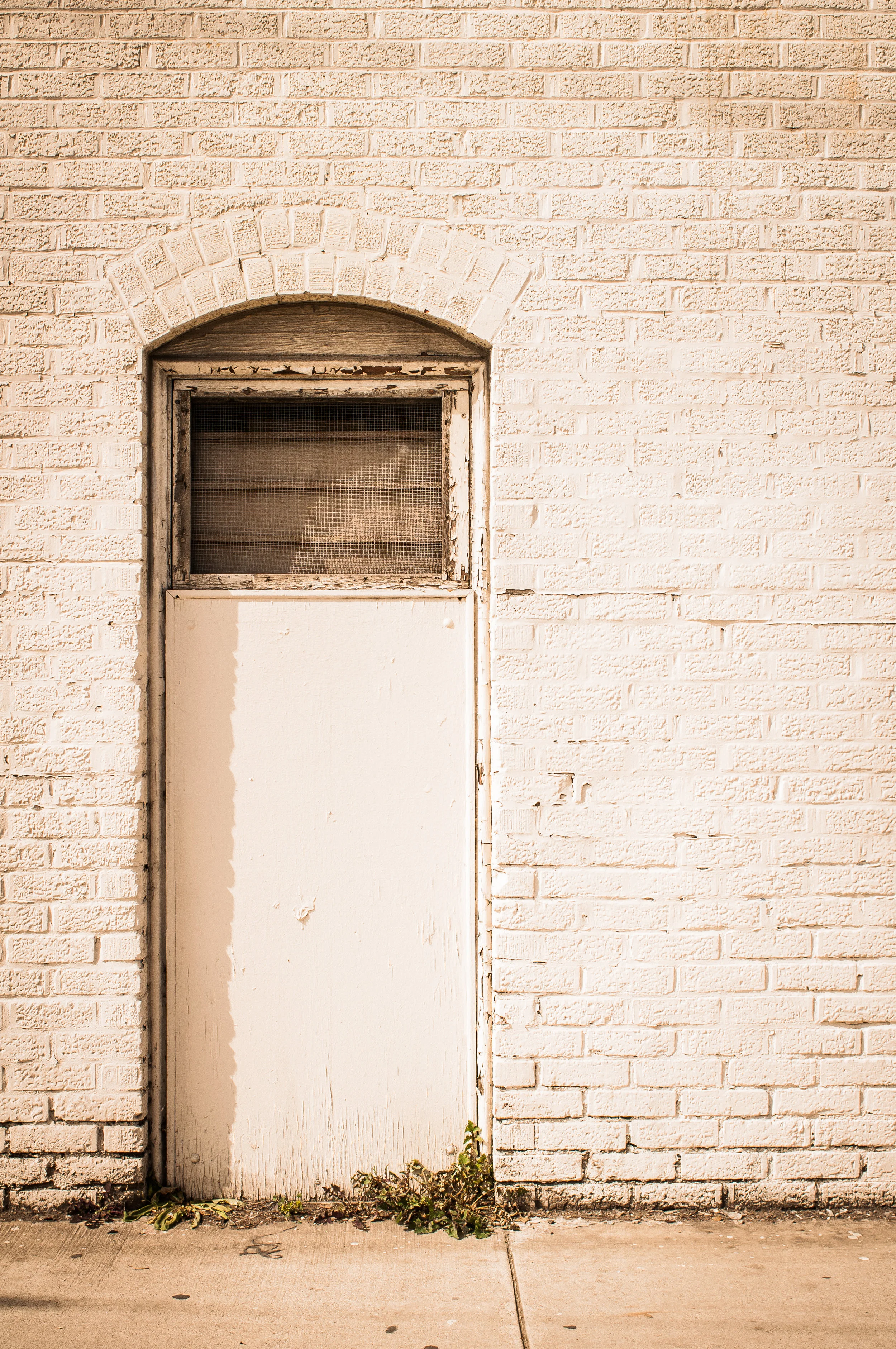 robinmwhitephoto-1-2.jpg