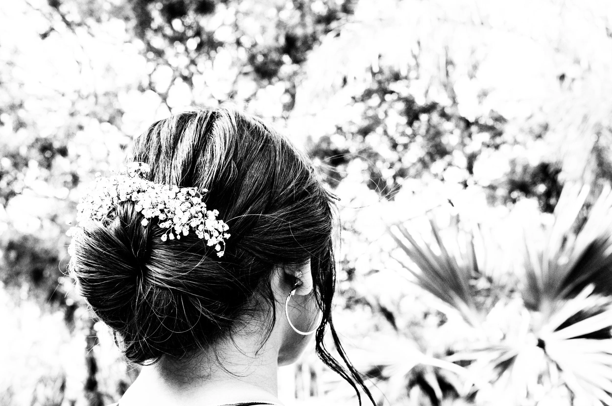 robinmwhitephoto-1.jpg
