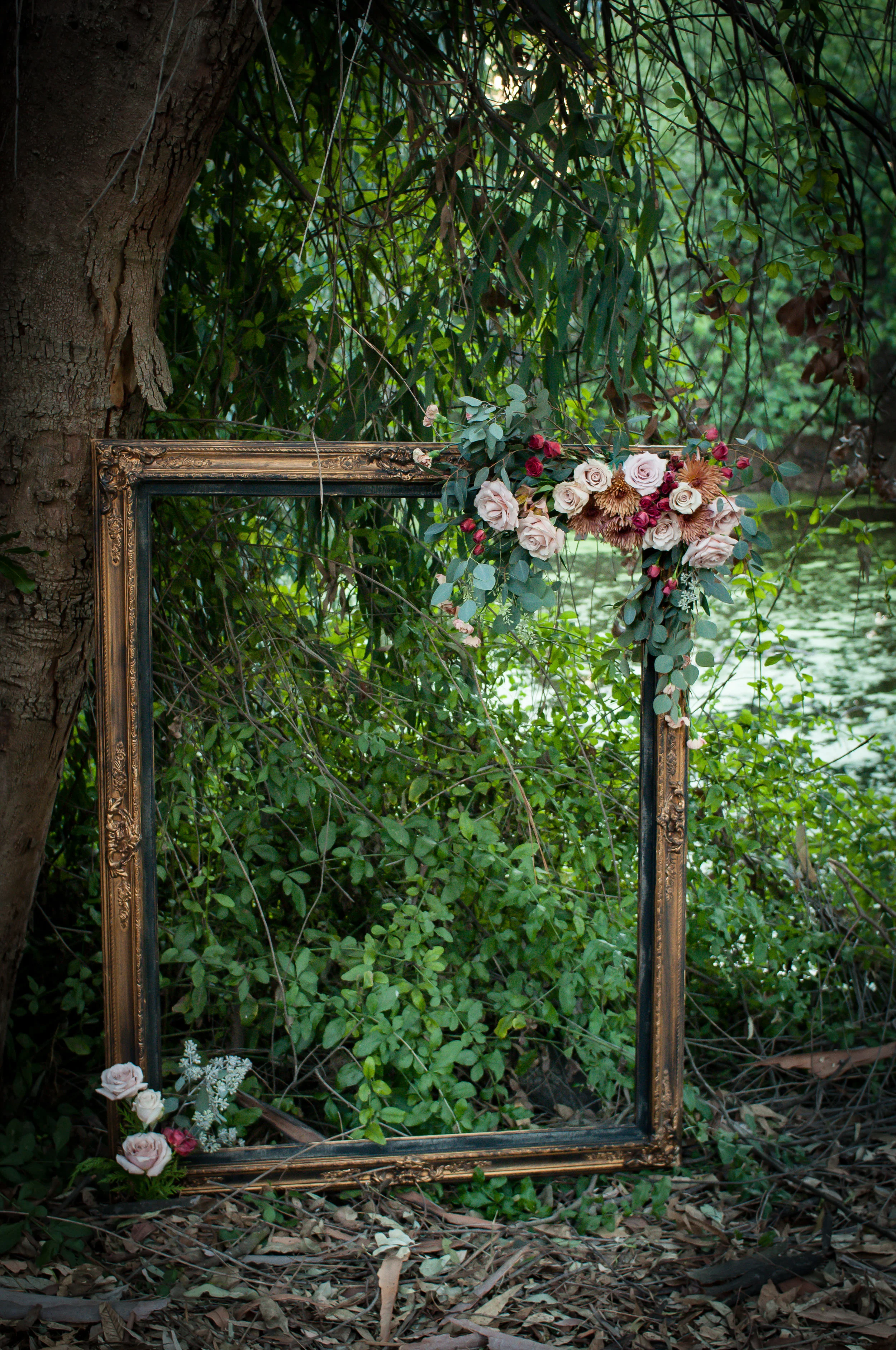 robinmwhitephoto-2-2.jpg