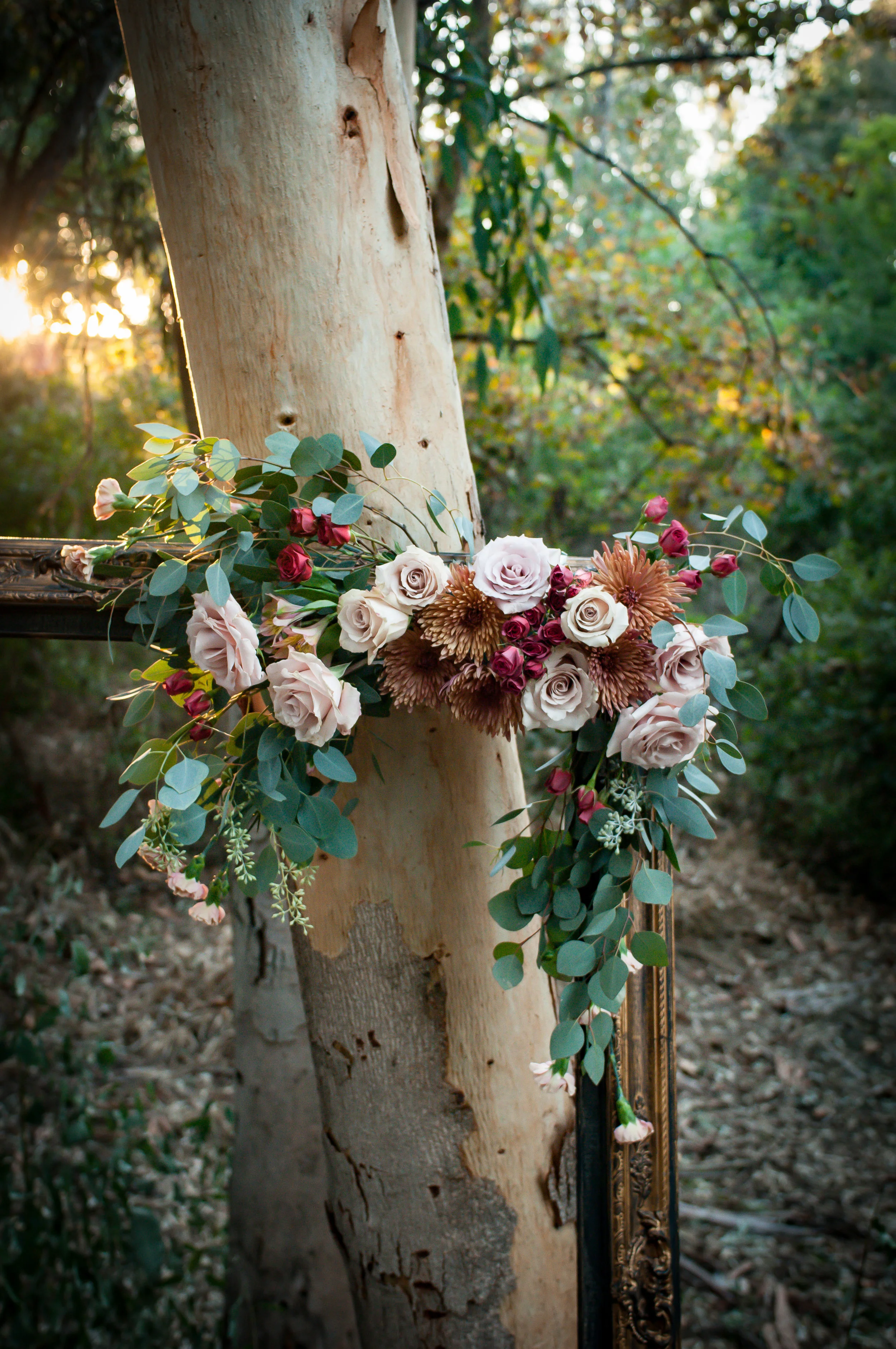 robinmwhitephoto-4-2.jpg
