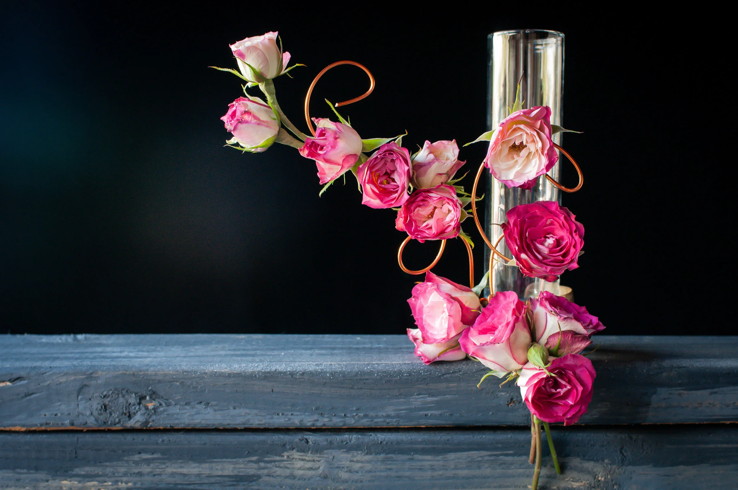 robinmwhitephoto-33.jpg